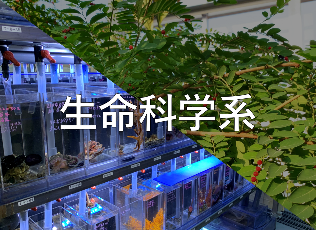 生命科学系